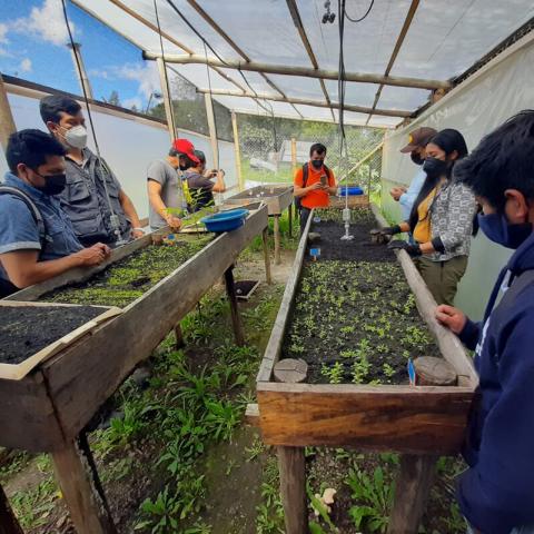 Provisión y Producción de Plantas