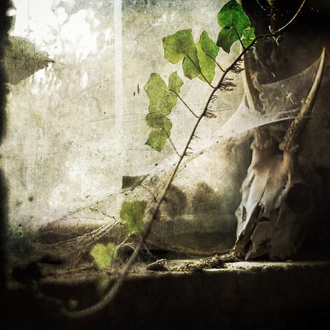 Contaminantes Atmosféricos 2024