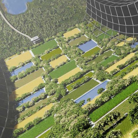 Patrones de Distribución Espacial 2023