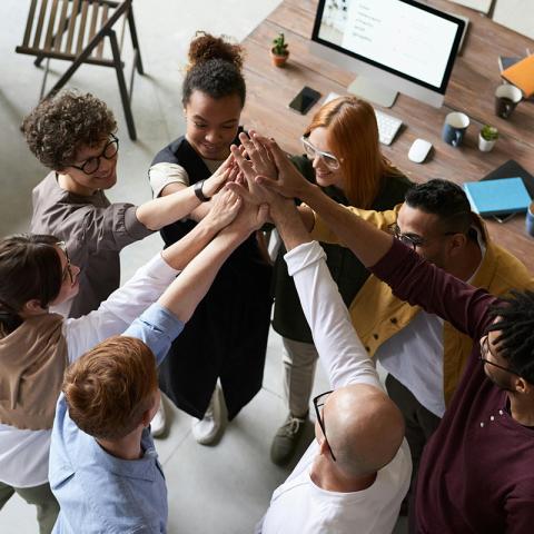 Habilidades de Fluidez Epistémica