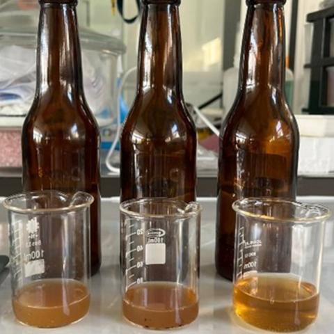 Elaboración de Cerveza