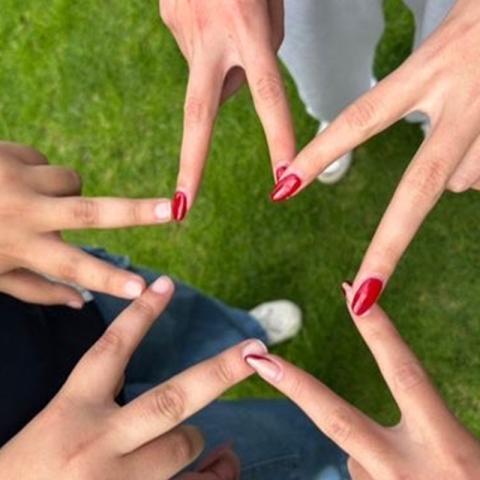 Comprensión Lectora y Uso de Lenguaje