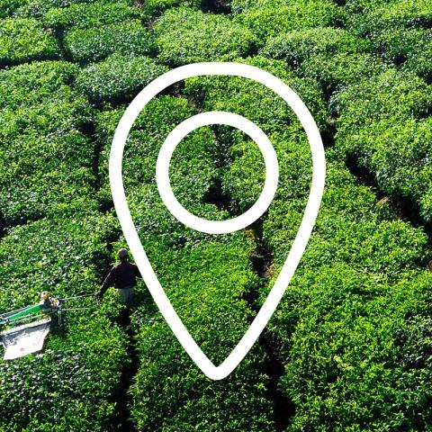 Mapa de Cobertura y Uso de Tierra Azogues