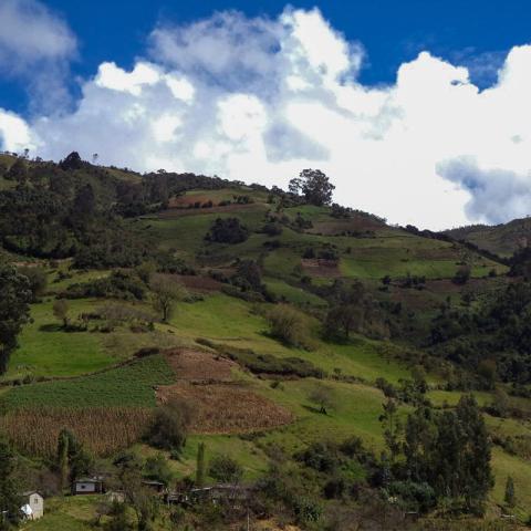 Prácticas Agrícolas Socioculturales