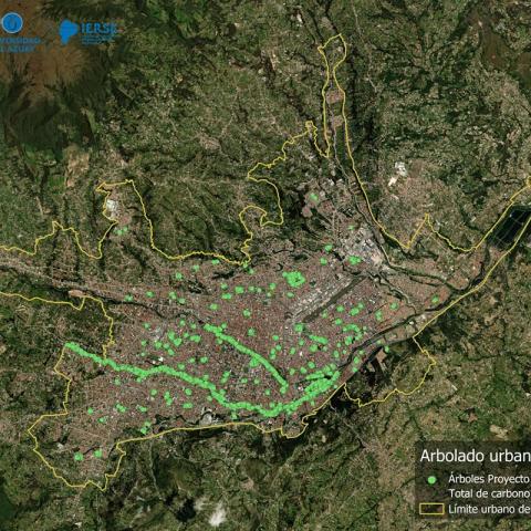 Inventario Forestal de Cuenca