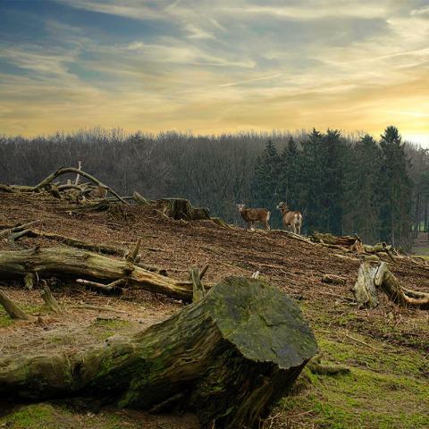 Problemas Territoriales en Ecuador