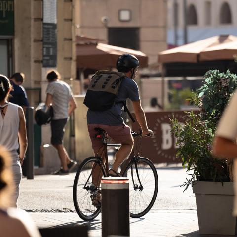 Ciclo Vías como Movilidad Sustentable