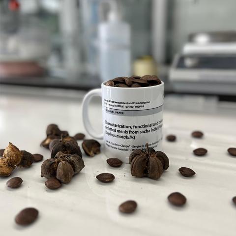 Actividad Biológica del Aceite y Proteínas