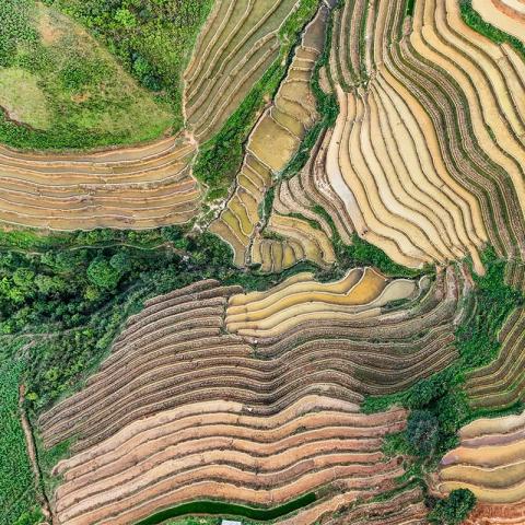 Proyecto Biomap Cuenca