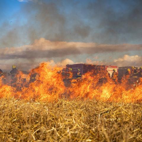 Incendios Forestales en Cajas-Ecuador