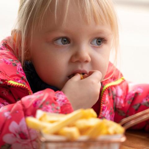 Sostenibilidad Alimentaria