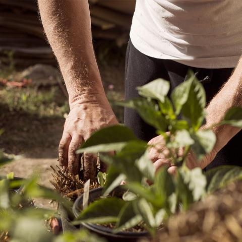 Proyecto Ecohighland-Tech