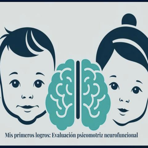 Desarrollo Evolutivo Neurofuncional II