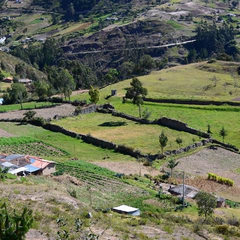 Experiencias y Saberes de Mujeres