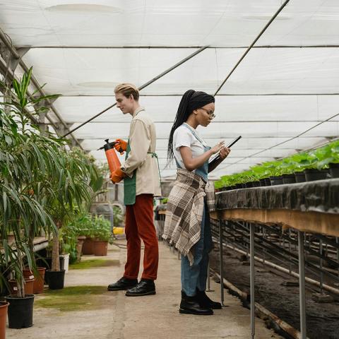 Sistema de Transparencia Climática