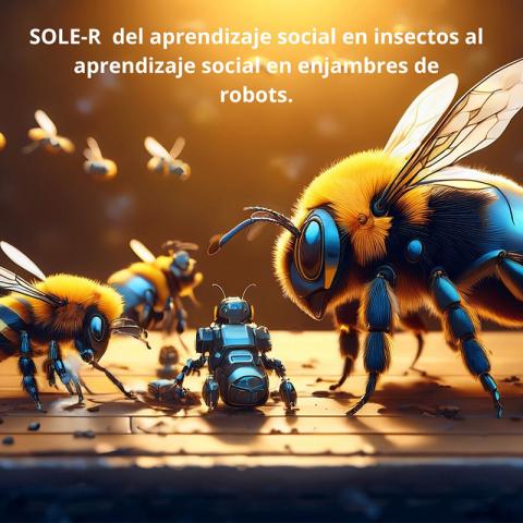 Proyecto Sole-R